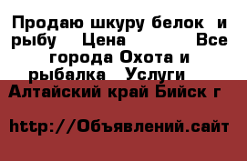 Продаю шкуру белок  и рыбу  › Цена ­ 1 500 - Все города Охота и рыбалка » Услуги   . Алтайский край,Бийск г.